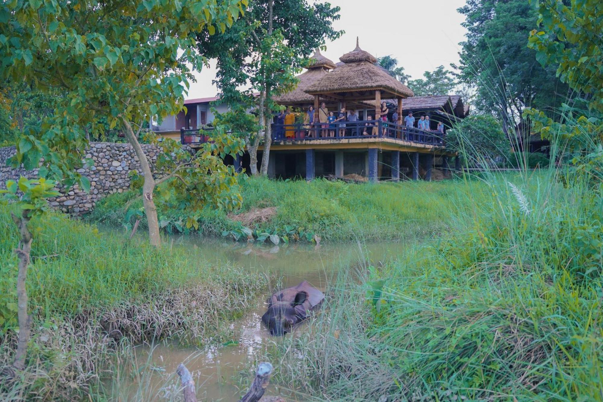 Sapana Village Lodge Sauraha Exterior photo
